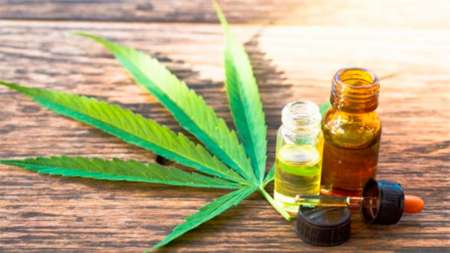 Cannabis medicinal: autocultivo y acceso gratuito, las claves de la nueva reglamentacióna