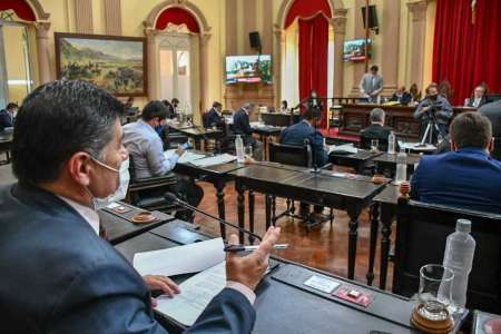 Media sanción a la suspensión de las PASO 2021