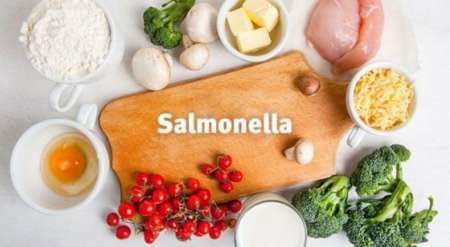 Rebrote de Salmonella: pautas de cuidado para prevenir la infección