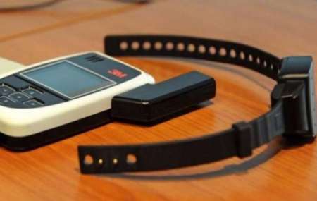 Homicidas y violadores no podrán acceder al beneficio de arresto domiciliario