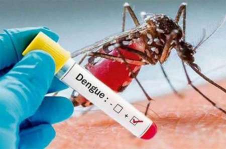Se informaron dos casos probables de dengue en la provincia