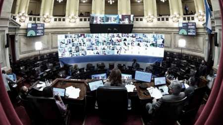 El Senado cierra el año con el tratamiento de la Ley de Interrupción Legal del Embarazo
