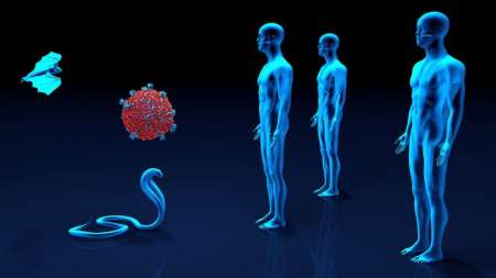 El Malbrán confirmó la presencia de la variante de Río de Janeiro de SARS-CoV-2 en Argentina