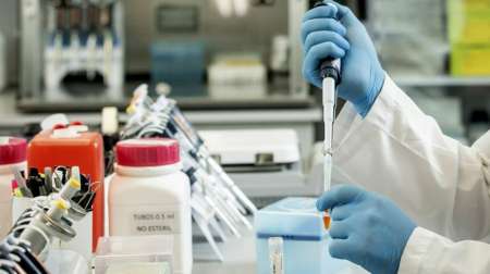 Qué es, cómo funciona y a quiénes beneficia el suero equino hiperinmune contra el Covid-19