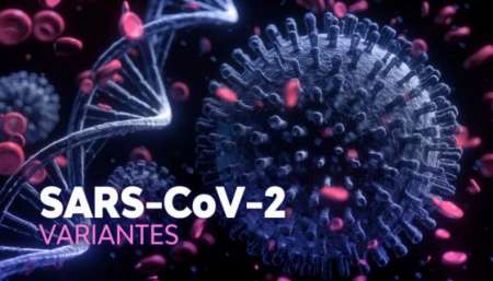 Todo lo que tenés que saber sobre las variantes del virus que produce COVID-19