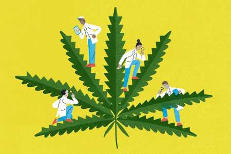 Cuáles son los efectos adversos de consumir cannabis durante el embarazo y la lactancia, según la Sociedad Argentina de Pediatría