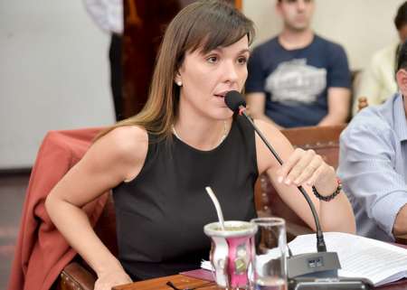 Romina Arroyo: “No estoy a favor de las fotomultas, hay otras prioridades como el arreglo de las calles”