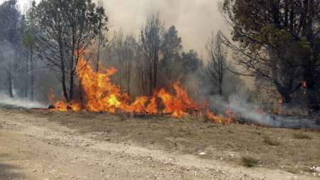 La Municipalidad se prepara para prevenir los incendios forestales