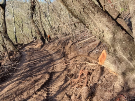 Vecinos buscan frenar el desmonte de la Reserva Natural de Tres Cerritos