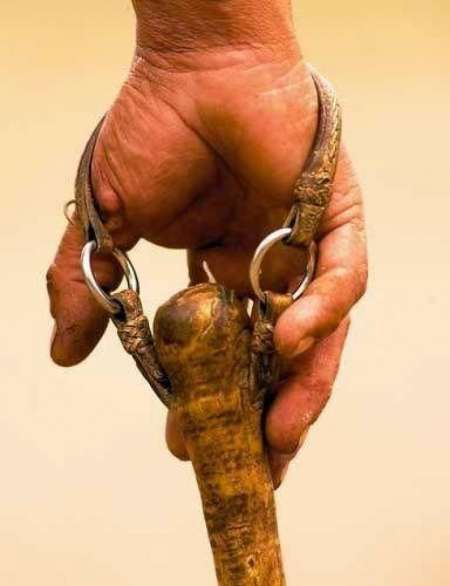 Imagen tomada de www.eltribuno.com/salta