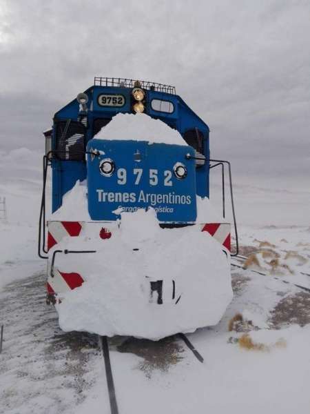 Intensa nevadas en la puna salteña