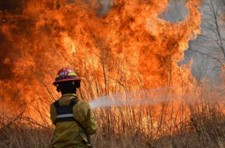 Por las condiciones climáticas se registraron incendios en 200 hectáreas