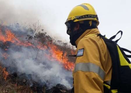 Ya se quemaron mil hectáreas en Colonia Santa Rosa