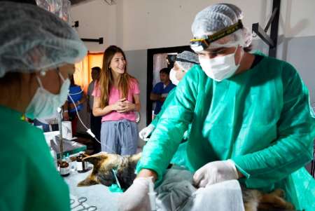 La Municipalidad de Salta realizó una jornada de castración masiva en zona oeste