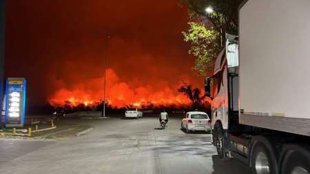 Estiman que 40 mil hectáreas fueron arrasadas por el fuego en Salta