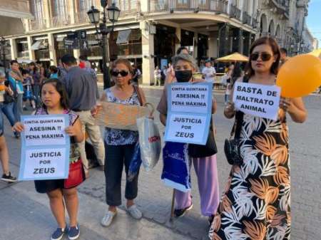 Masiva marcha para pedir justicia por Zeus