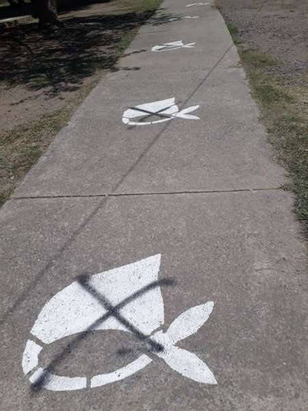 Imagen tomada de www.informatesalta.com.ar