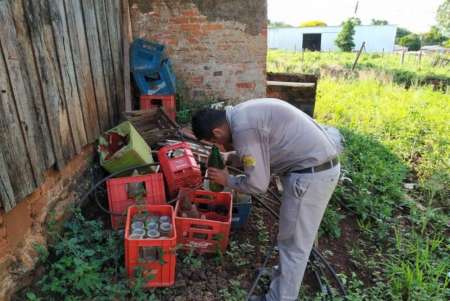 Agentes sanitarios visitaran los barrios para buscar criaderos de mosquitos por la suba de casos de dengue
