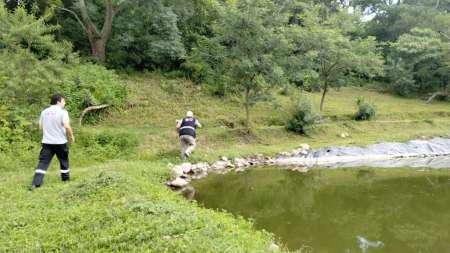 Trasladaron patos silvestres que fueron encontrados en una casa en zona sur