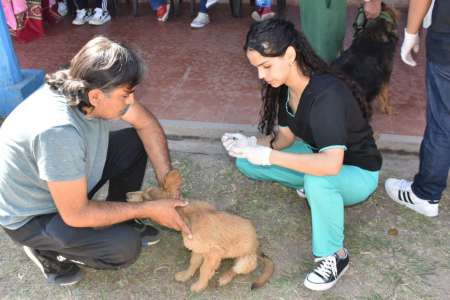 El móvil de vacunación antirrábica estará la semana que viene en zona oeste