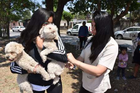 Los puestos de vacunación antirrábica se instalarán en zona oeste la semana que viene