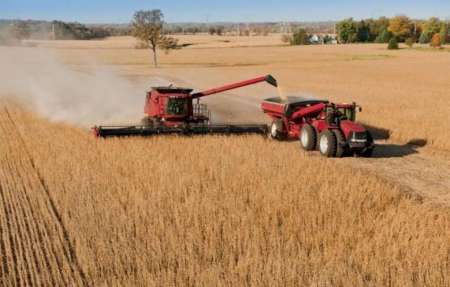 Se espera una reducción del 30% de la producción agrícola en Salta por la sequía