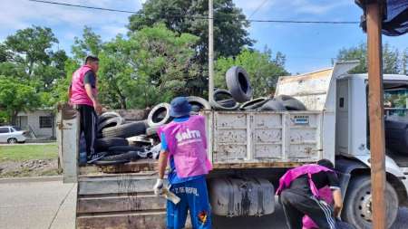 Municipalidad y Provincia refuerzan acciones para prevenir criaderos de mosquitos