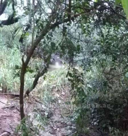 HALLAZGO. Un hombre fue encontrado sin vida entre las malezas, detrás del hospital San Bernardo. Fuente: La Gaceta