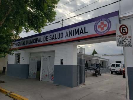 Cómo trabajarán los servicios municipales en los feriados de Semana Santa