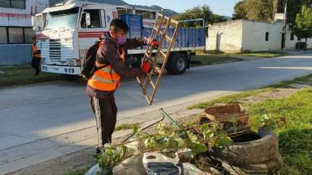 Ya son 5000 los casos de dengue en Salta