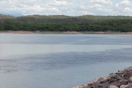 Buscan en El Tunal crías de yacaré que fueron vistas por pescadores