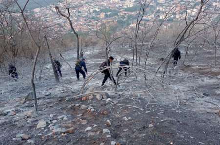 Se está trabajando para prevenir incendios en los cerros 20 de Febrero y San Bernardo
