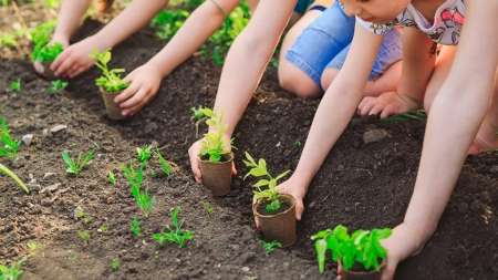 Celebrarán la Semana del Ambiente con actividades para concientizar