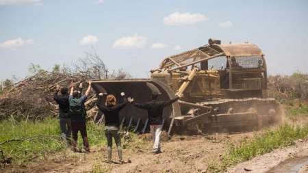 La Auditoría General de la Nación denunció que Salta violó la Ley de Bosques