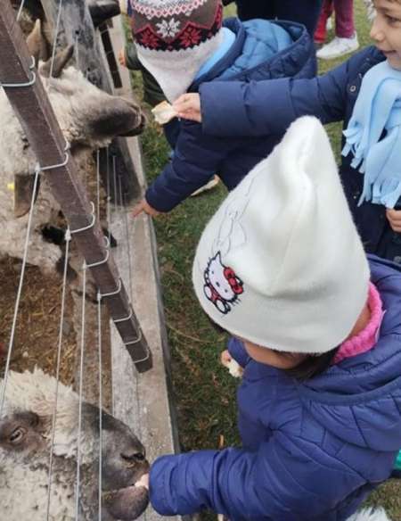 Niños del Hogar Casa Cuna hicieron una visita educativa a una granja