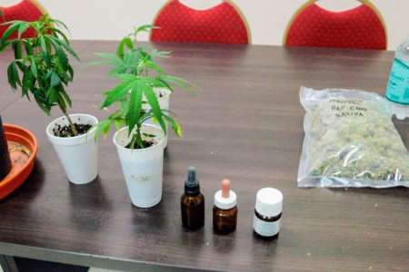 El hospital del Milagro capacita a profesionales sobre uso de cannabis
