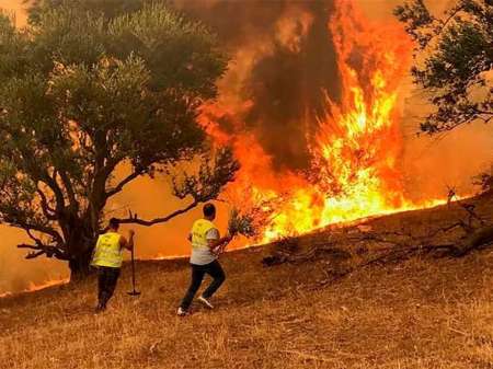 Córdoba: Bomberos buscan controlar el fuego en el Cerro Uritorco