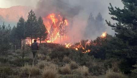 Se realiza una campaña por incendios forestales en Campo Quijano