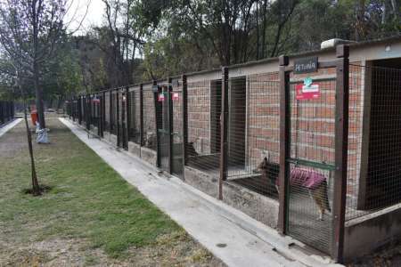 Hoy se hará una procesión con la imagen de San Roque en el Centro de Adopciones “Nicolás Mancilla”