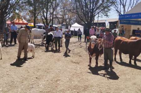 Se realiza la 79° Expo Rural hasta el domingo