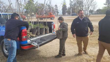 Plantaron 100 nuevos árboles por el Día del Árbol