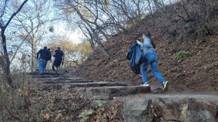 Se inició una limpieza masiva del Cerro San Bernardoa