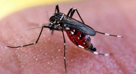 Un hombre de Tartagal es el primer caso de dengue de la temporada