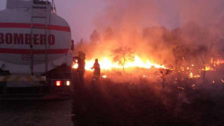 Un incendio forestal consumió unas 1.310 hectáreas en Orán