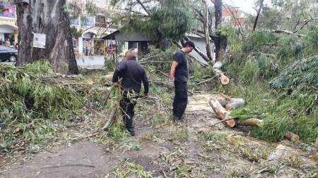 Tras el temporal se realizó un amplio operativo municipal de emergencia
