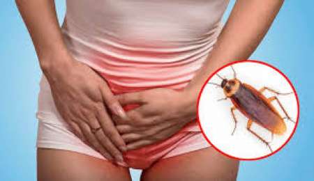 Descubrieron que tenía una cucaracha dentro del cuerpo