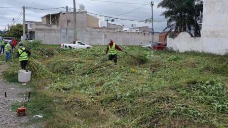 La Municipalidad continúa saneando baldíos en mal estado