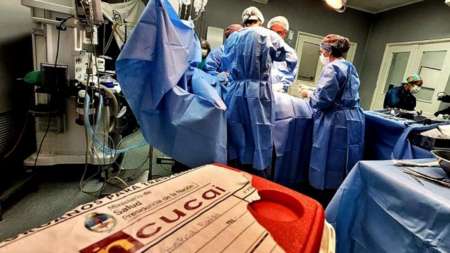 Primer operativo de ablación