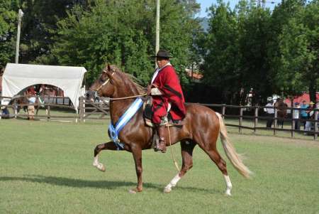 42° Concurso Nacional de Caballos Peruano de Paso