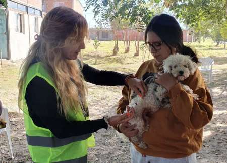 Vacunación antirrábica en La Loma